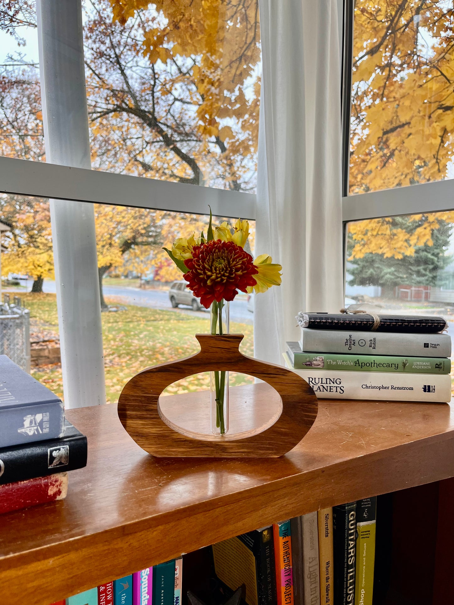 Bud Vase / Propagation Vase