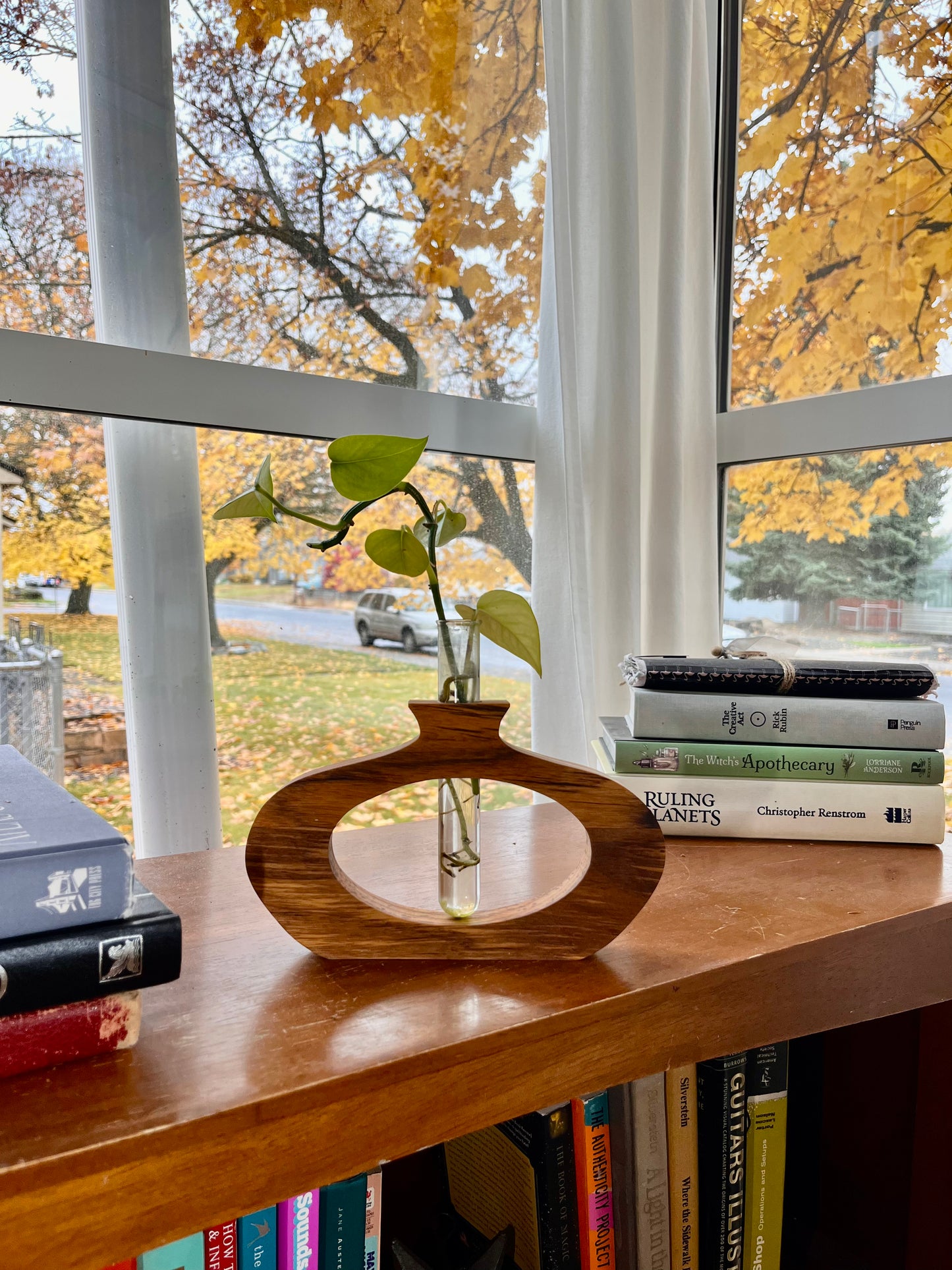 Bud Vase / Propagation Vase